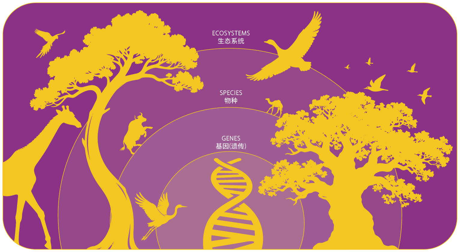 生物多样性的三个层次